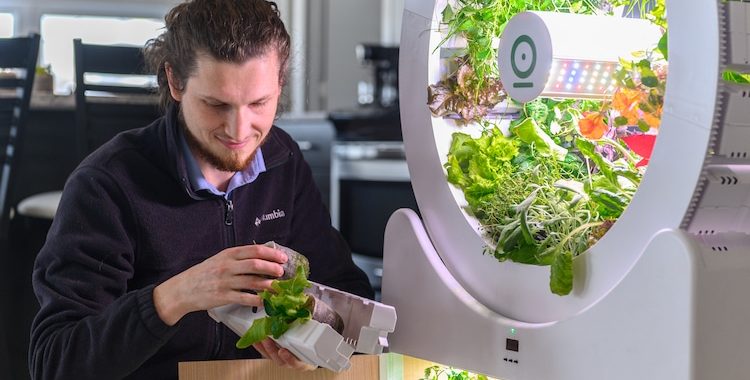 A user placing the seeds into the incubator. Image via OGarden