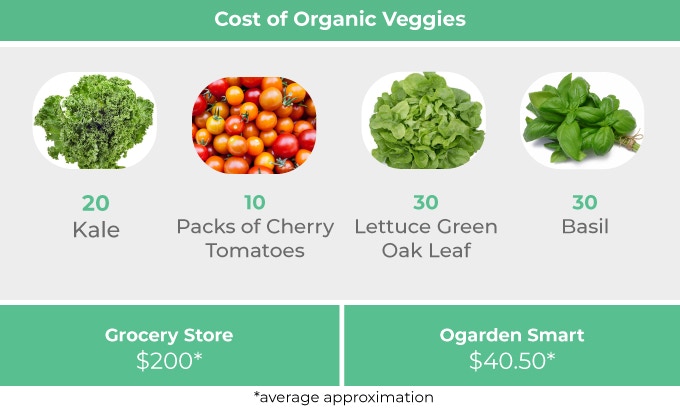 The image shows the differences in cost between buying vegetables from the store and growing vegetables with OGarden Smart. Image via OGarden