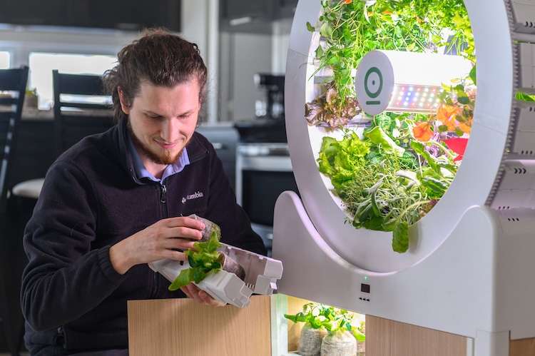 A user placing the seeds into the incubator. Image via OGarden