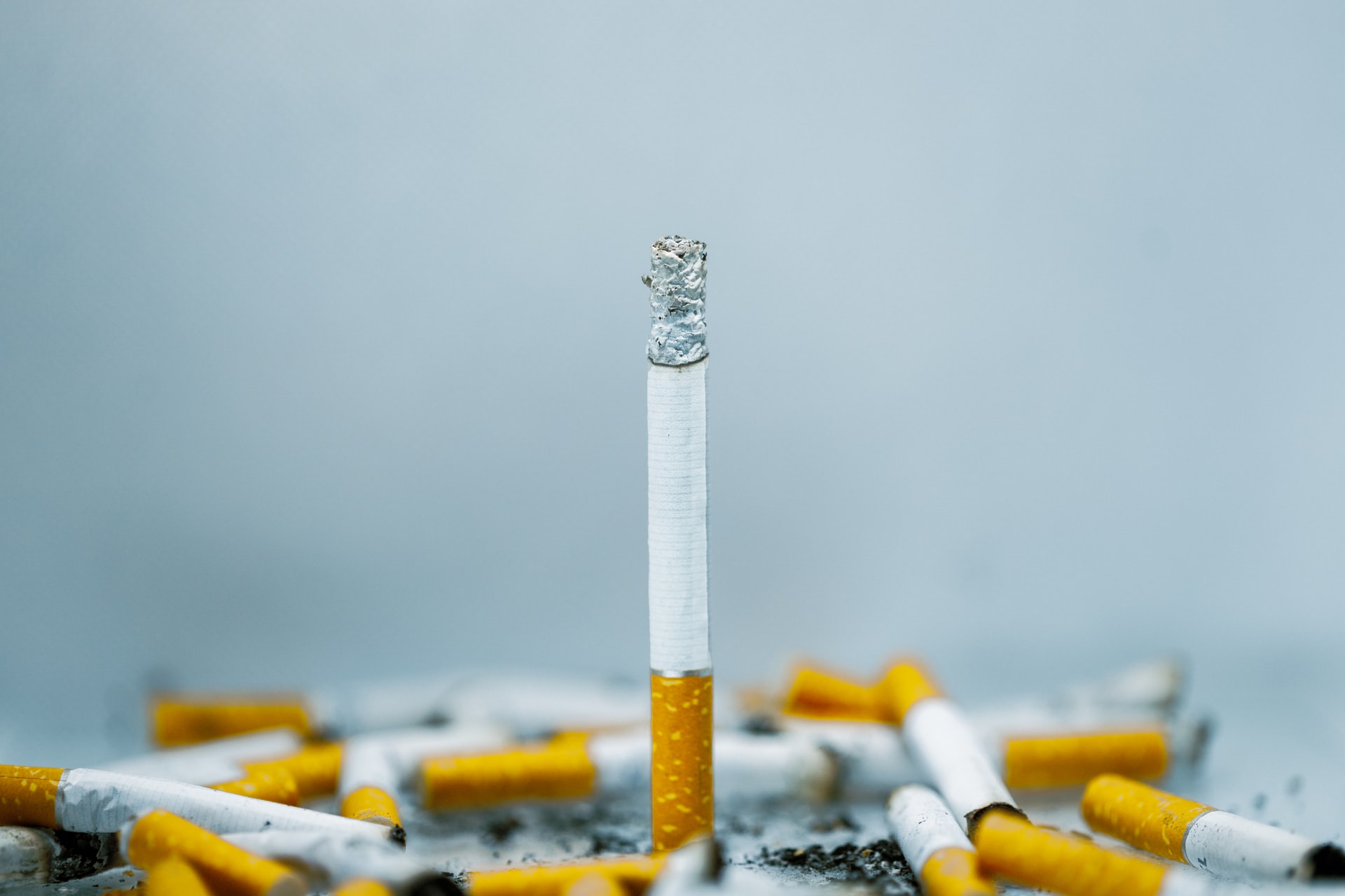 Did You Know Cigarette Butts Can Be Recycled? - GiGadgets.com